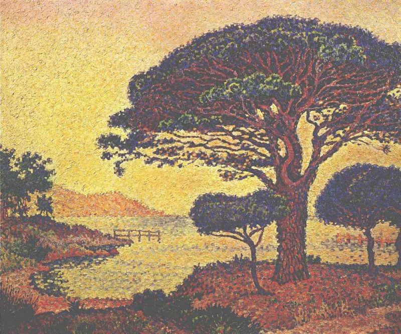 parasol pine 1898 (1000x832).jpg